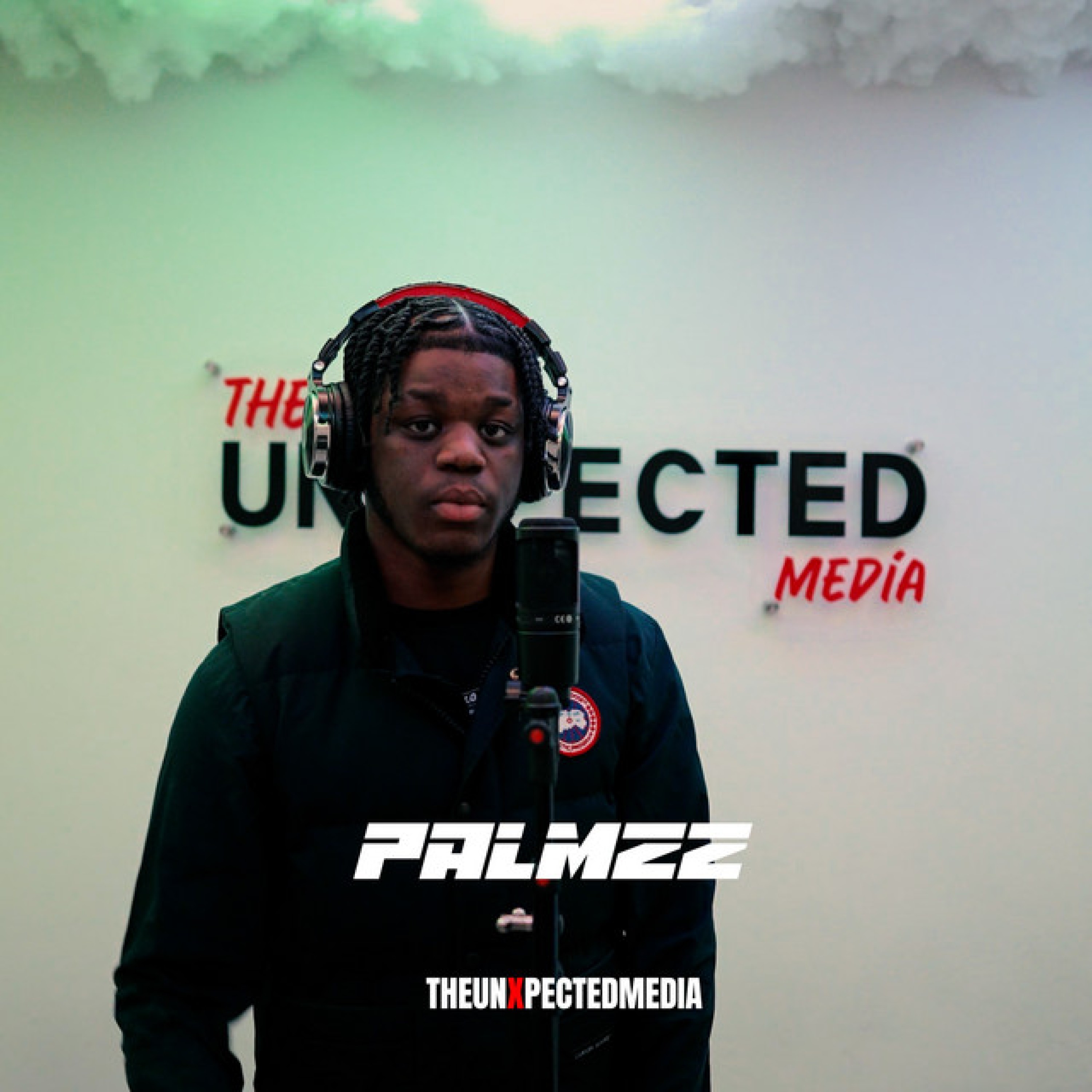 Palmzz - Buggin